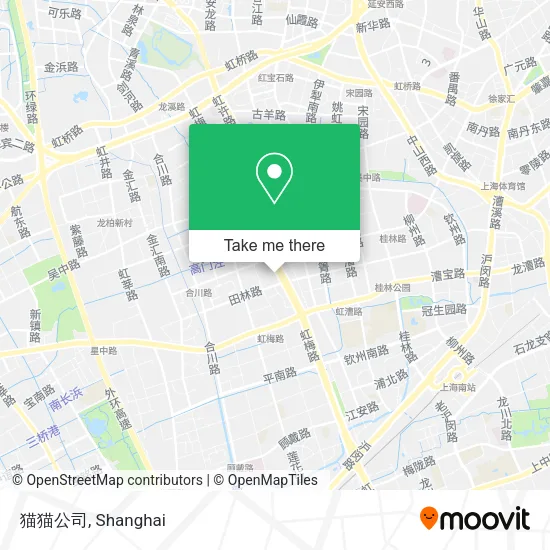 猫猫公司 map