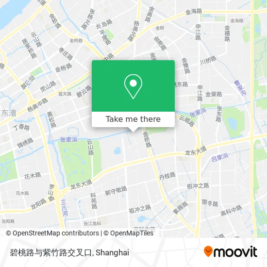 碧桃路与紫竹路交叉口 map