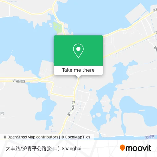 大丰路/沪青平公路(路口) map