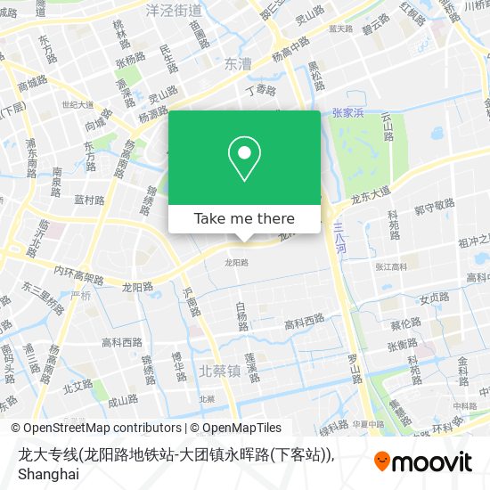 龙大专线(龙阳路地铁站-大团镇永晖路(下客站)) map