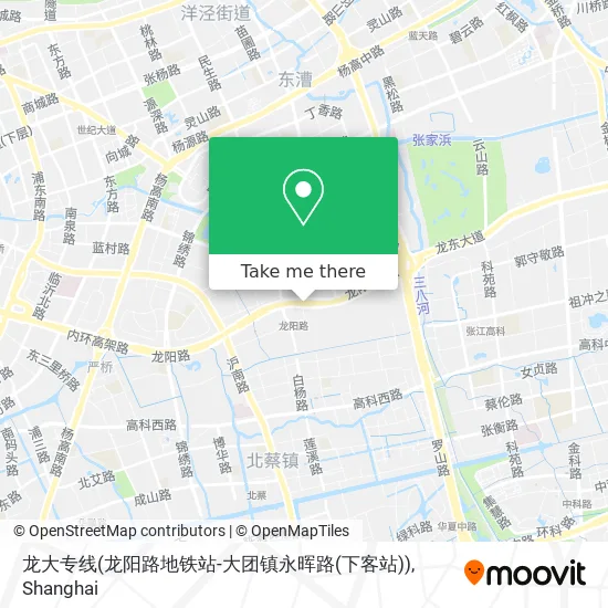 龙大专线(龙阳路地铁站-大团镇永晖路(下客站)) map