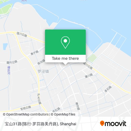 宝山31路(陈行-罗芬路美丹路) map