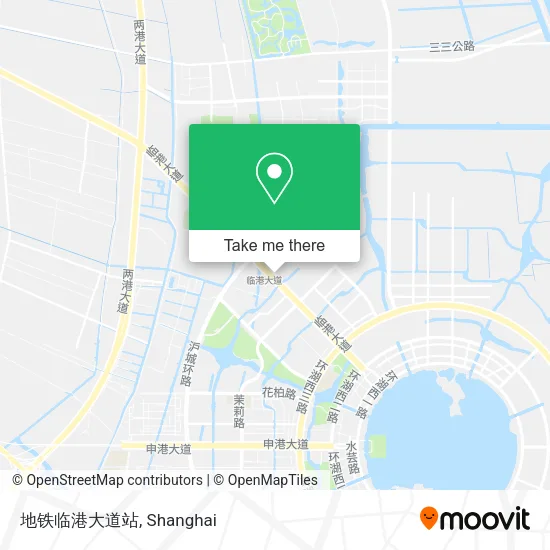 地铁临港大道站 map