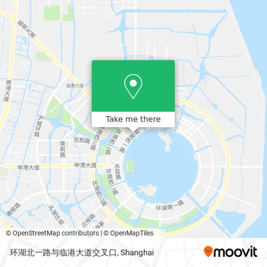 环湖北一路与临港大道交叉口 map
