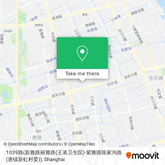 1039路(新雅路丽雅路(王港卫生院)-紫雅路陈家沟路(唐镇新虹村委)) map