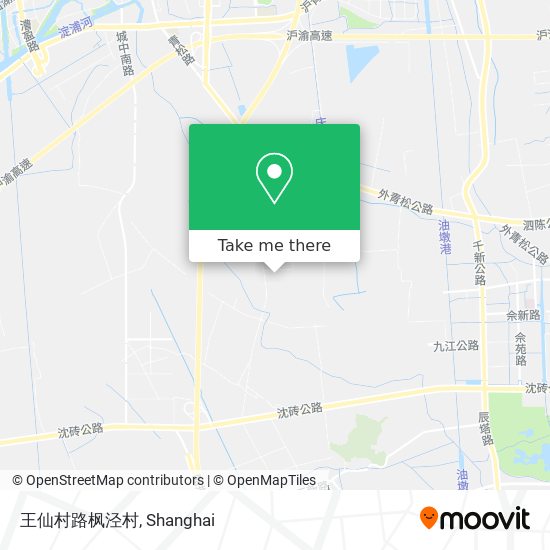 王仙村路枫泾村 map