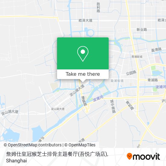 詹姆仕皇冠猴芝士排骨主题餐厅(吾悦广场店) map