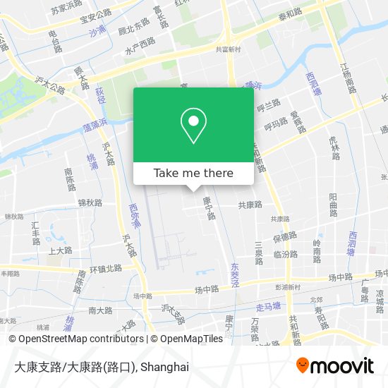 大康支路/大康路(路口) map