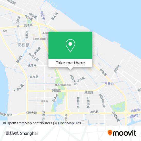 青杨树 map