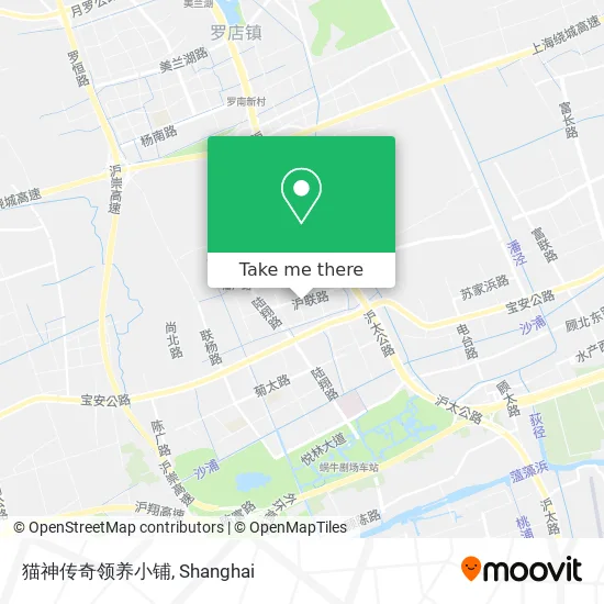 猫神传奇领养小铺 map