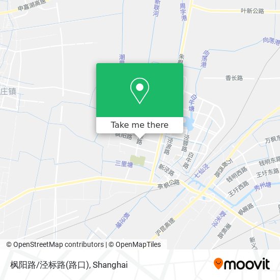 枫阳路/泾标路(路口) map