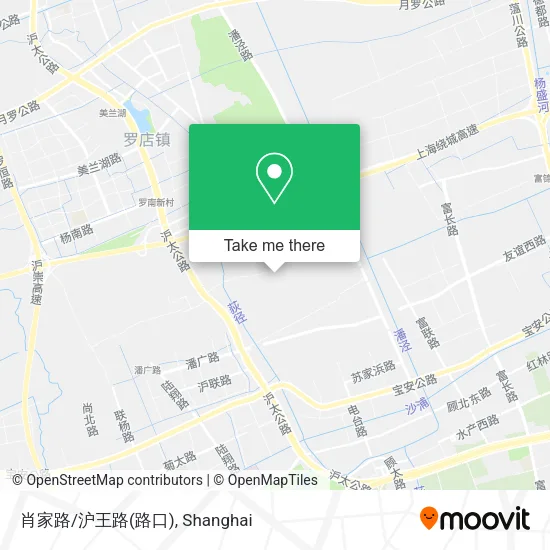 肖家路/沪王路(路口) map