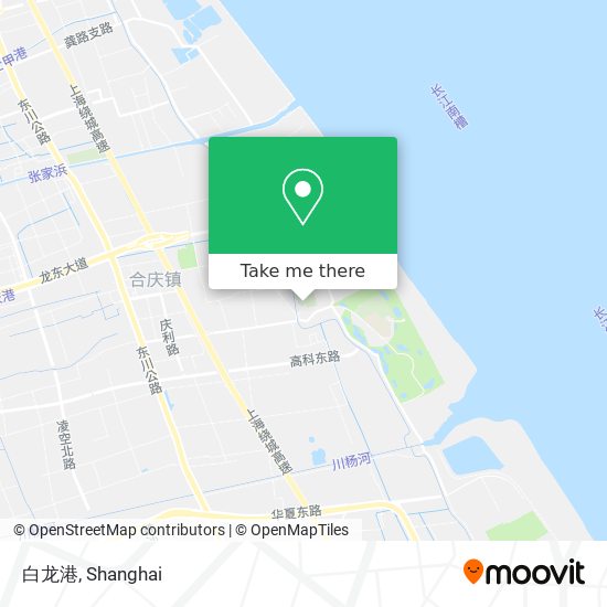白龙港 map