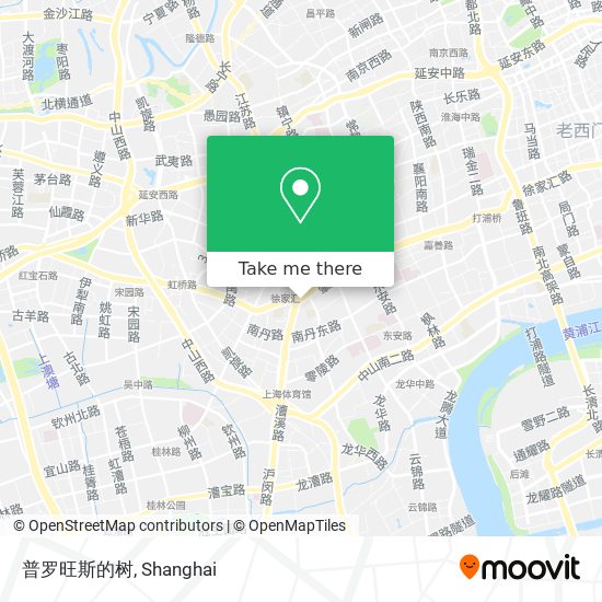 普罗旺斯的树 map