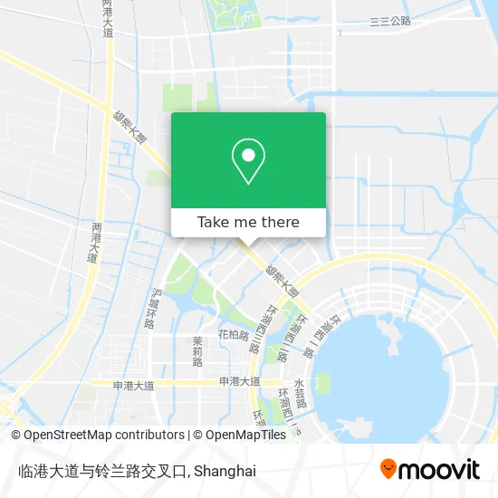 临港大道与铃兰路交叉口 map