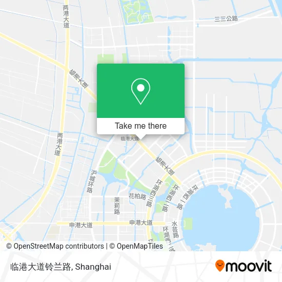 临港大道铃兰路 map