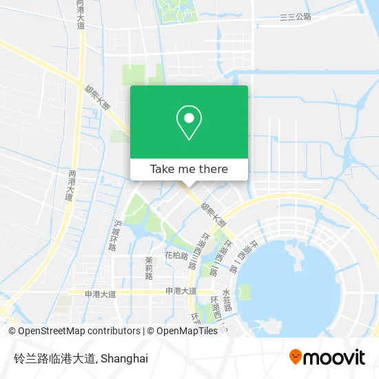 铃兰路临港大道 map