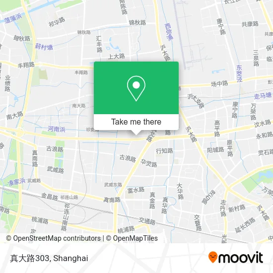 真大路303 map