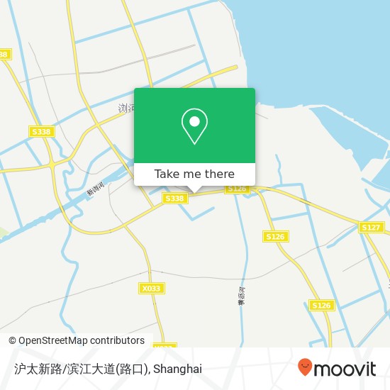 沪太新路/滨江大道(路口) map