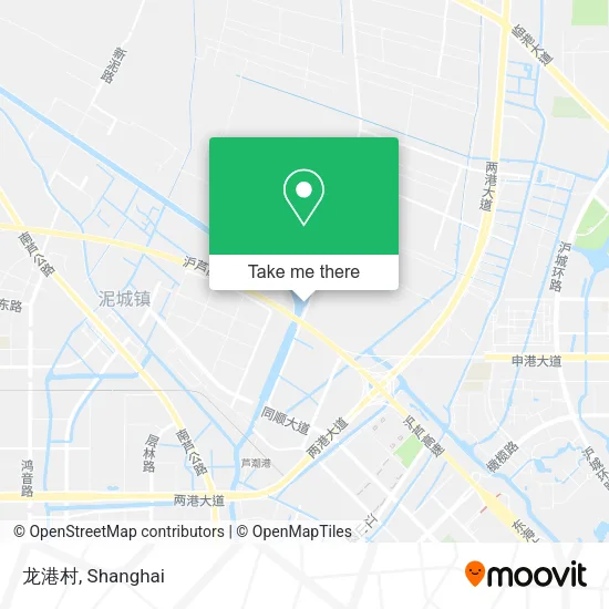 龙港村 map