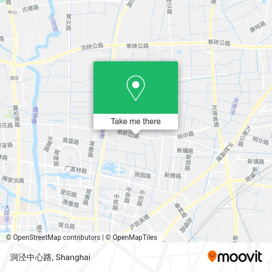 洞泾中心路 map