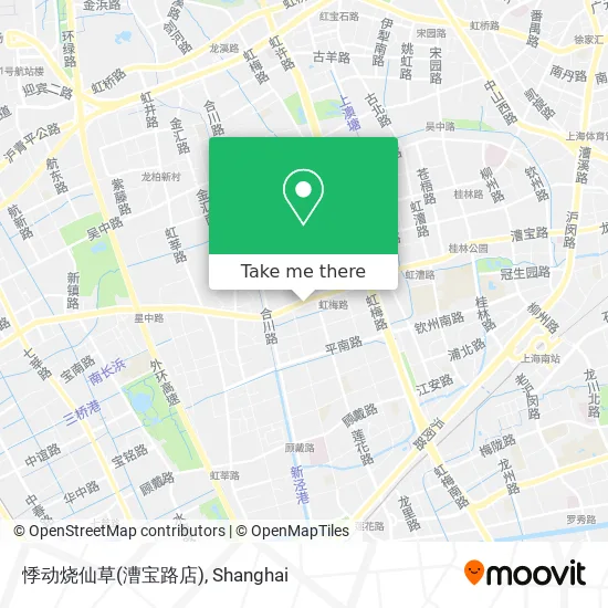 悸动烧仙草(漕宝路店) map