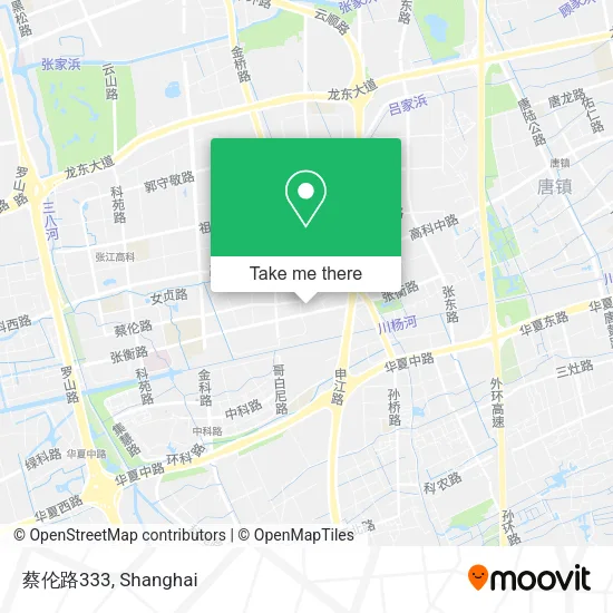 蔡伦路333 map