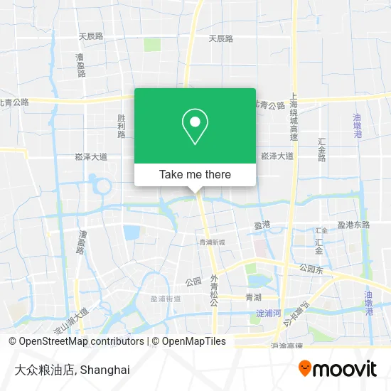 大众粮油店 map