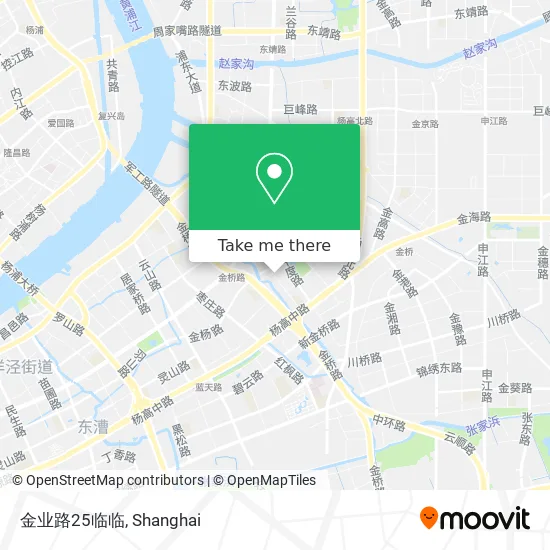 金业路25临临 map