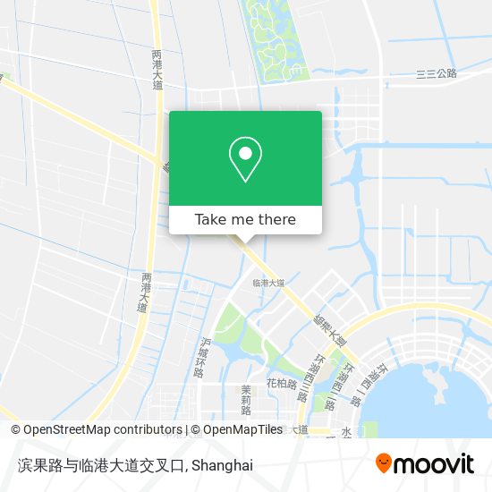 滨果路与临港大道交叉口 map