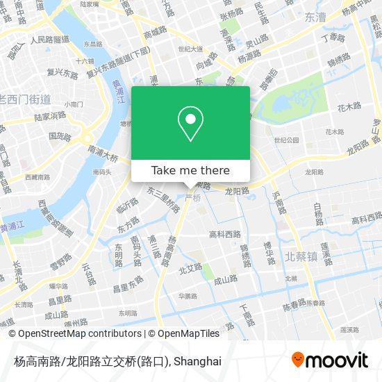 杨高南路/龙阳路立交桥(路口) map