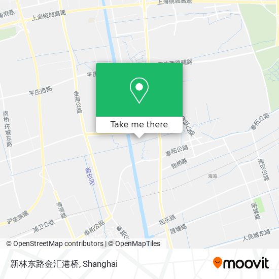 新林东路金汇港桥 map
