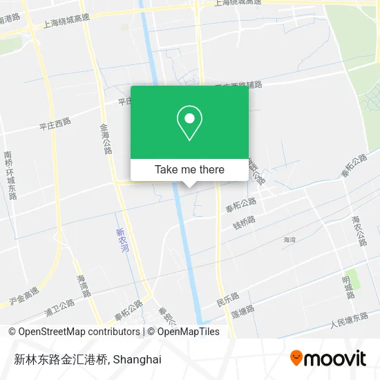 新林东路金汇港桥 map