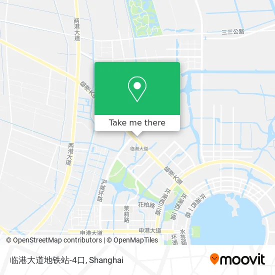 临港大道地铁站-4口 map
