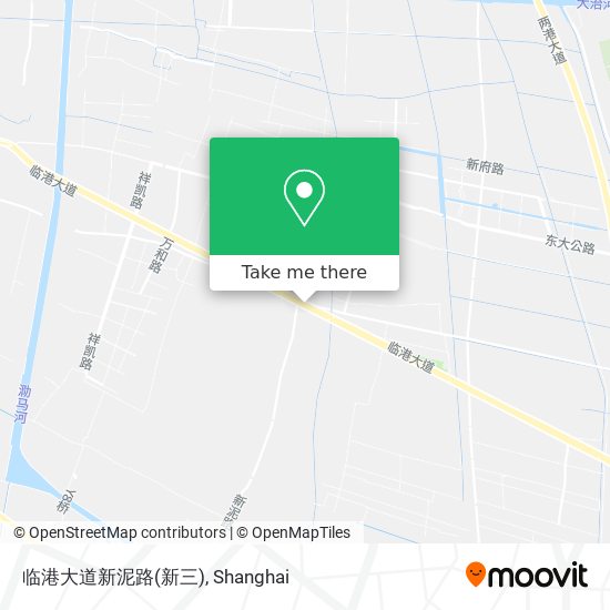 临港大道新泥路(新三) map