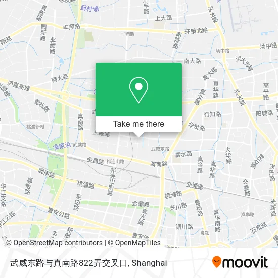 武威东路与真南路822弄交叉口 map