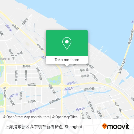 上海浦东新区高东镇革新看护点 map