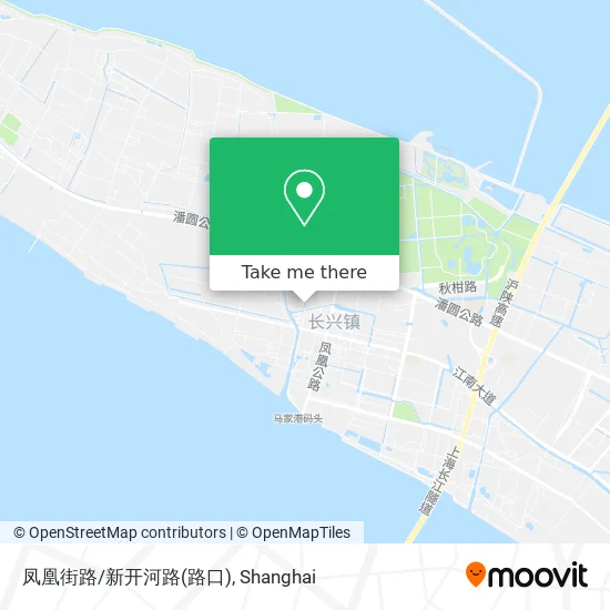 凤凰街路/新开河路(路口) map