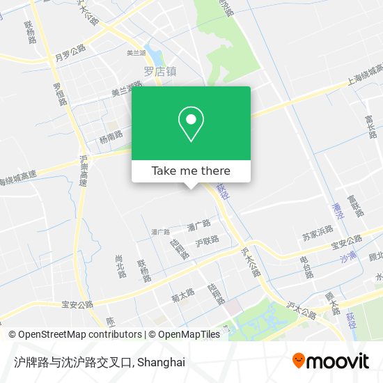 沪牌路与沈沪路交叉口 map