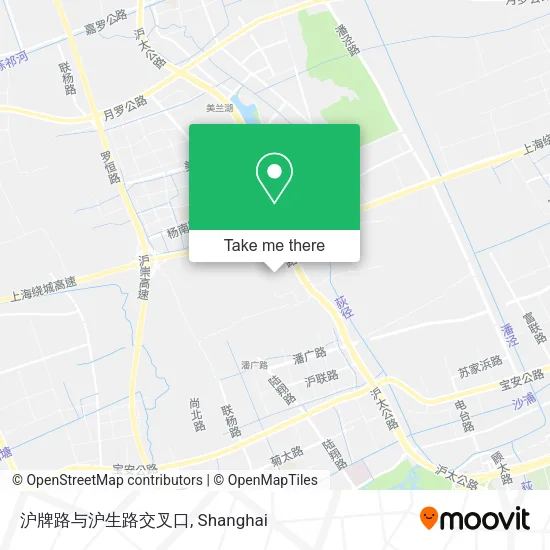 沪牌路与沪生路交叉口 map