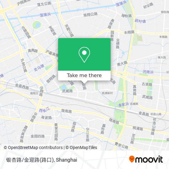 银杏路/金迎路(路口) map