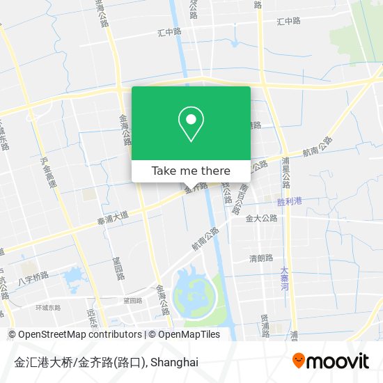 金汇港大桥/金齐路(路口) map