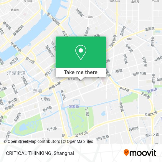 CRITICAL THINKING map