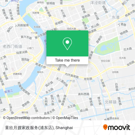 童欣月嫂家政服务(浦东店) map