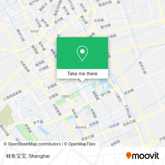 鲱鱼宝宝 map
