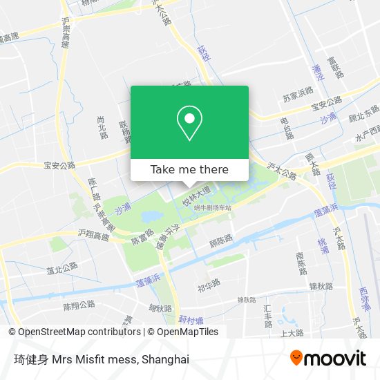 琦健身 Mrs Misfit mess map