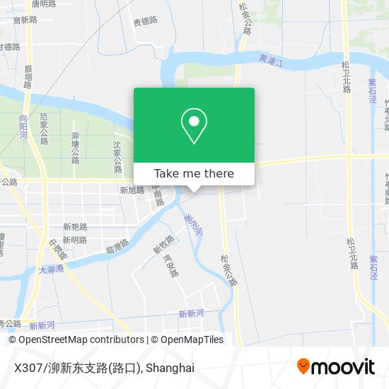 X307/泖新东支路(路口) map