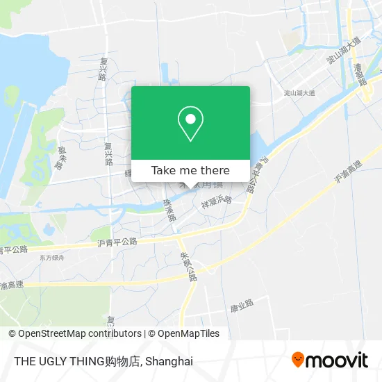 THE UGLY THING购物店 map