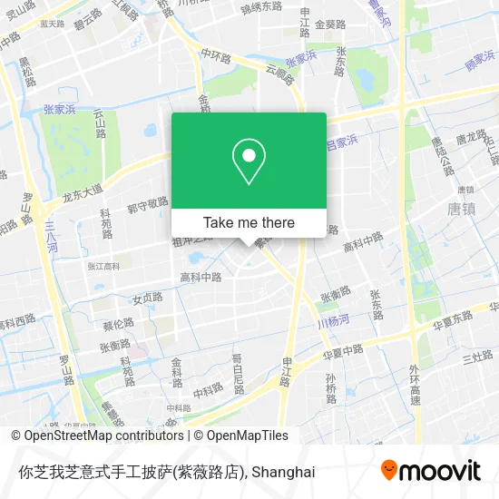 你芝我芝意式手工披萨(紫薇路店) map