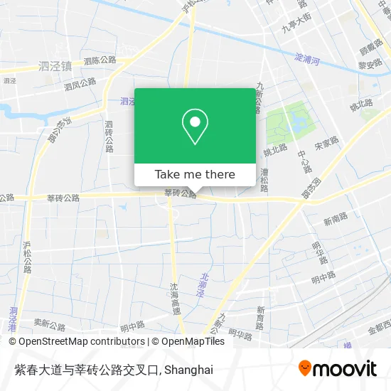 紫春大道与莘砖公路交叉口 map